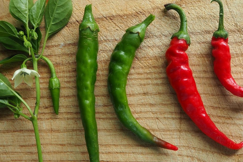 Grüne oder rote Chili - welche ist schärfer
