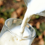 Milch statt Sahne im Rezept verwenden