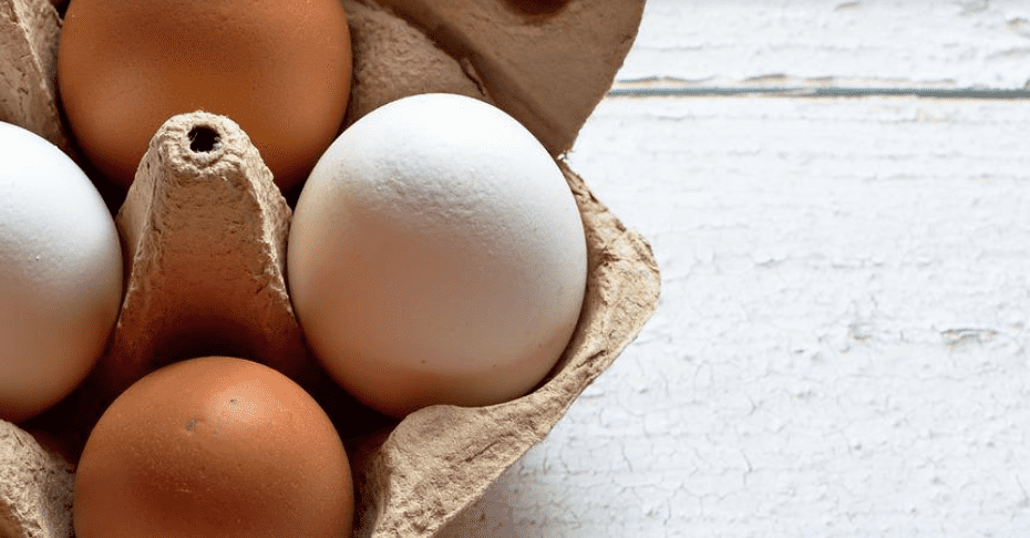 Warum sind Eier braun oder weiß